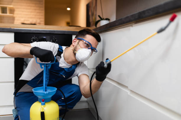 Best Residential Pest Control  in Philipsburg, PA