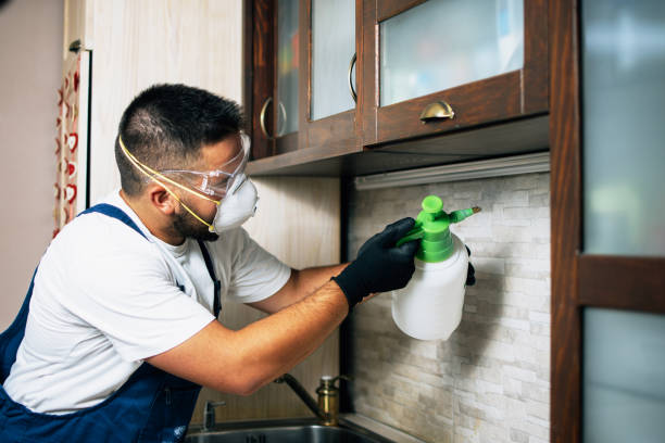 Best Exterminator Services  in Philipsburg, PA