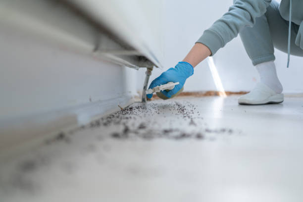 Trusted Philipsburg, PA Pest Control Experts