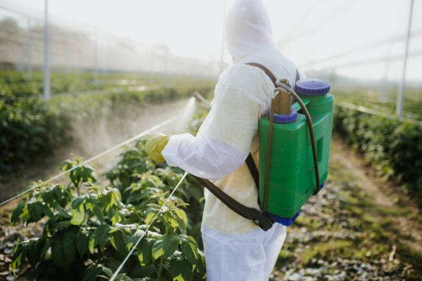 Insect Control in Philipsburg, PA
